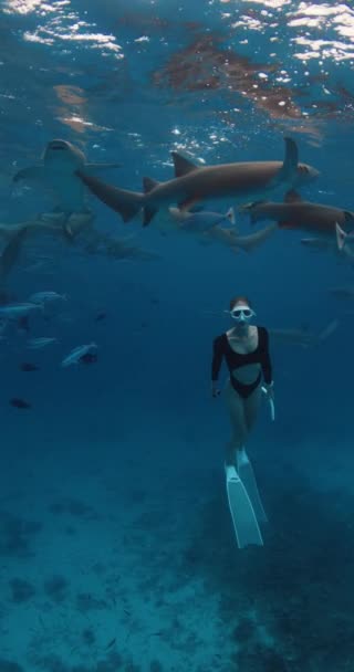 Γυναίκα Καταδύεται Και Κολυμπάει Τους Καρχαρίες Μια Τροπική Γαλάζια Θάλασσα — Αρχείο Βίντεο