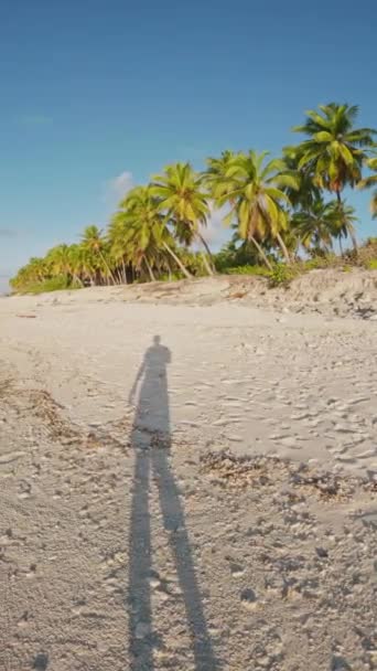 Passeggiata Prima Persona Alla Spiaggia Tropicale Con Palme Cocco Nella — Video Stock