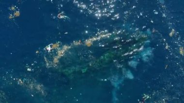 İnsanlar Tulamben, Bali 'de plastik kirliliğiyle okyanusta yüzüyor ve serbest dalış yapıyorlar. Yüksek kalite 4k görüntü