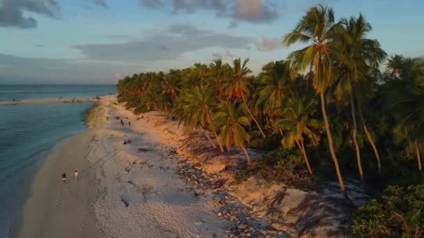 Tropical Sandy Beach Coconut Palms Warm Sunrise Sunset Ocean High — Stock Video