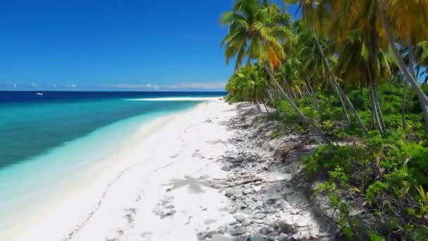Maldives Island Tropical Beach Palm Trees Blue Ocean Aerial View — Stock Video