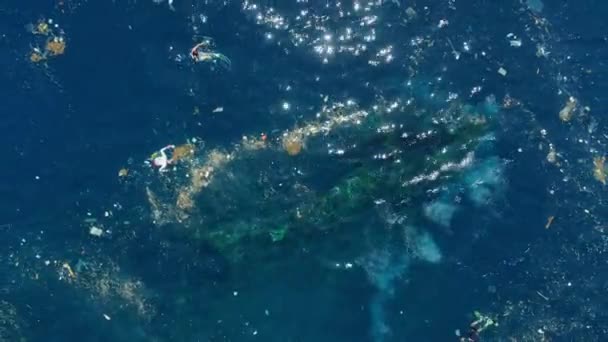 Pessoas Nadando Mergulhando Livremente Oceano Com Poluição Plástica Tulamben Bali — Vídeo de Stock