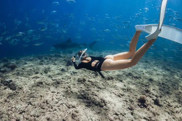 Woman Dives Shooting Camera Tiger Sharks Underwater Maldives Free Diving — Stock Photo, Image