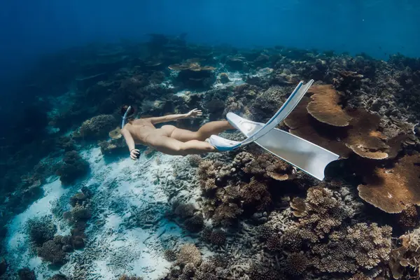 Mujer Freediver Desliza Mar Azul Tropical Sobre Corales Vivos Buzo Imagen De Stock