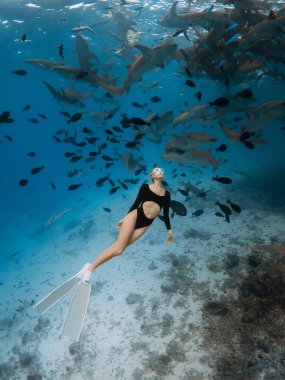 Dadı köpekbalıklarıyla berrak bir tropikal suda serbest çalışan zayıf bir kadın.