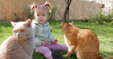 Bahçede çimlerde oturan ve kedileri besleyen tatlı bir kız çocuğu. Yüksek kalite 4k görüntü