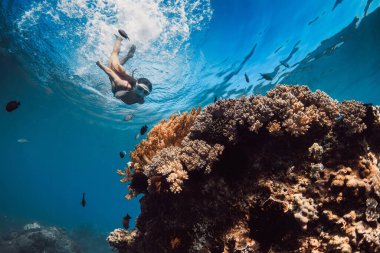 Maskeli bir kadın tropikal mavi denizde mercanlara dalıyor. Hawaii 'de bir kadınla şnorkelle yüzmek.