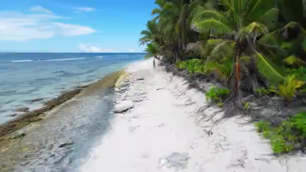 Palmiye Ağaçları Şeffaf Mavi Okyanuslu Maldivler Lüks Cennet Adasında Hava — Stok video