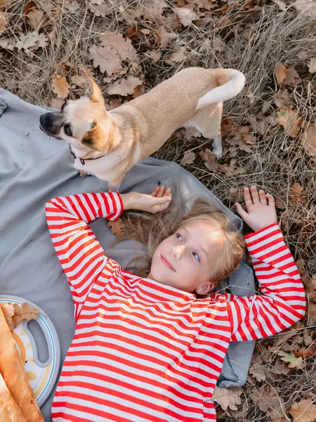 Девочка Подросток Лежит Клетке Собакой Пикнике Лицензионные Стоковые Фото