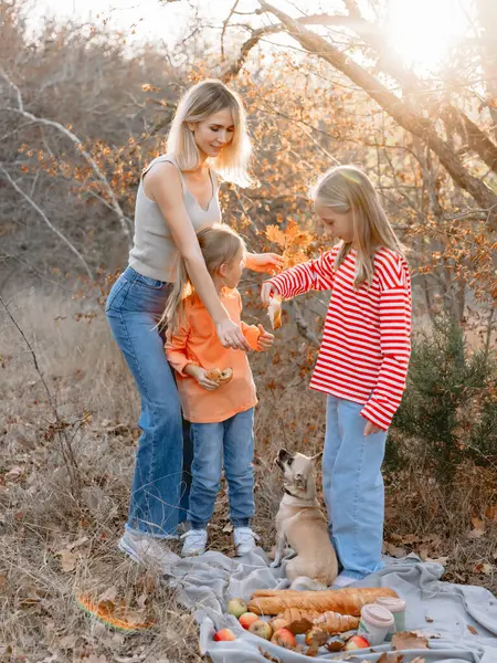 Belleza Madre Con Sus Chicas Lindas Perro Picnic Aire Libre Fotos De Stock