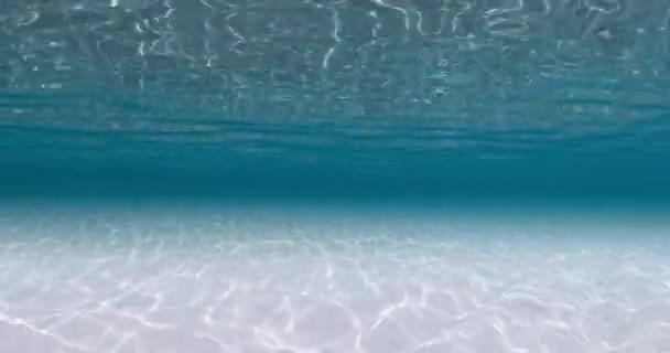Şeffaf Mavi Okyanus Kumlu Tabanı Altında Dalgaları Var Yüksek Kalite — Stok video