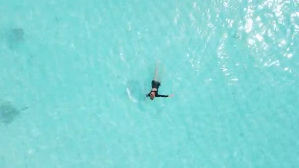 Mulher Nadando Com Arraia Nas Maldivas Peixes Arraia Nadando Mar — Vídeo de Stock