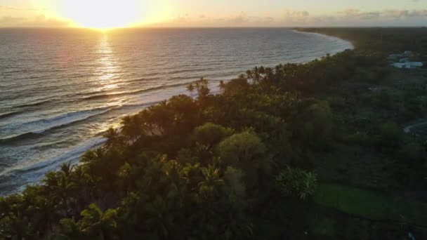 Pantai Samudra Dengan Pohon Kelapa Dan Matahari Terbit Yang Hangat — Stok Video
