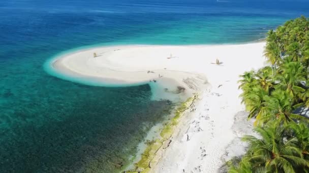 马尔代夫热带海滩 有棕榈树和透明的蓝色海洋 豪华天堂岛上的空中风景 高质量的4K镜头 — 图库视频影像