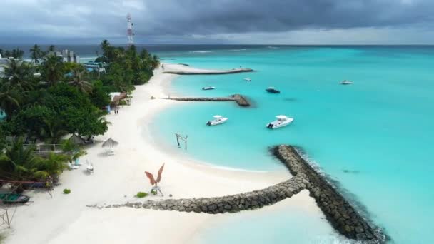 Tropik Plajlı Palmiye Ağaçları Mavi Okyanuslu Maldivler Adası Hava Görüntüsü — Stok video