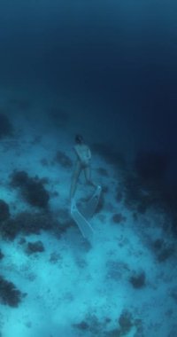 Özgür kadın şeffaf mavi denizde suyun altında süzülüyor. Derin okyanusta serbest dalış. Yüksek kalite 4k görüntü