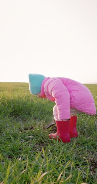 Portrait Little Girl Field Digging Ground Shovel High Quality Footage — Stock Video