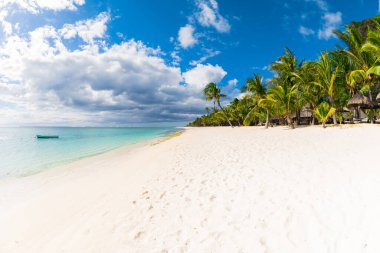 Mauritius 'taki tatil köyünün tropik manzarası. Şeffaf okyanus, beyaz kumsal, palmiyeler ve mavi gökyüzü.
