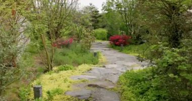 Krasnodar Galitsky parkındaki Japon bahçesi. Geleneksel Asya Parkı