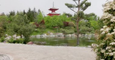Krasnodar Galitsky parkındaki Japon bahçesi. Geleneksel Asya parkı. Yüksek kalite 4k görüntü