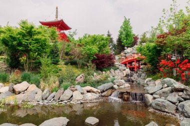 Krasnodar Galitsky parkındaki Japon bahçesi. Göletli geleneksel Asya parkı