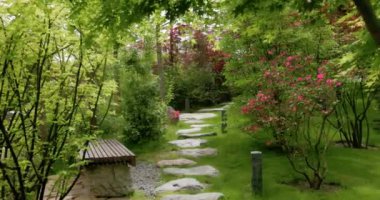 Krasnodar Galitsky parkındaki Japon bahçesi. Geleneksel Asya parkı. Yüksek kalite 4k görüntü