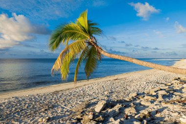 Maldivler Adası 'ndaki lüks kumlu plaj. Okyanus ve akşam sıcacık güneş ışığıyla tropik bayrak