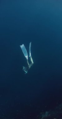 Derin okyanusta yüzen serbest yüzgeçli bir kadın. Açık mavi okyanusta serbest dalış. Yüksek kalite 4k görüntü