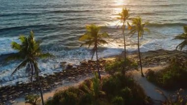 Okyanus kıyısında Hindistan cevizi palmiyeleri ve ılık gündoğumu ile Maldivler 'deki tropikal adalarda günbatımı tonları. Yüksek kalite 4k görüntü