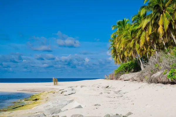 Kumsalda tatil ve Maldivler adasında sakin bir deniz. Tropik bayrak