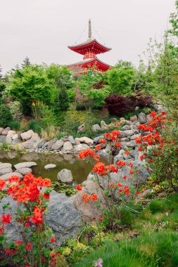 Krasnodar Parkı 'nda çiçek ve Budist tapınağı olan yaz Japon bahçesi.
