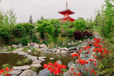 Krasnodar Parkı 'nda çiçek ve Asya tapınağı olan yaz Japon bahçesi