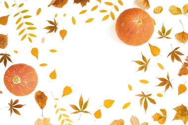 Sonbahar kompozisyonu, portakal yaprakları ve beyaz balkabakları. Düz yatış, üst görünüm
