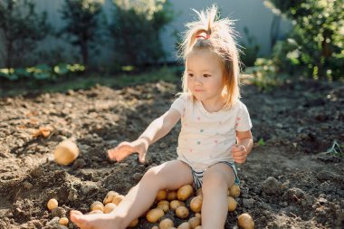 Şirin kız oynuyor ve bahçeye patates atıyor.