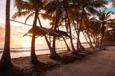 Okyanus ve dalgalarla tropikal kıyı şeridinde gün doğumu veya gün batımı