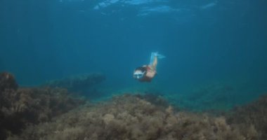 Şeffaf tatlı su gölünde serbest dalış yapan bir kadın. Yüksek kalite 4k görüntü