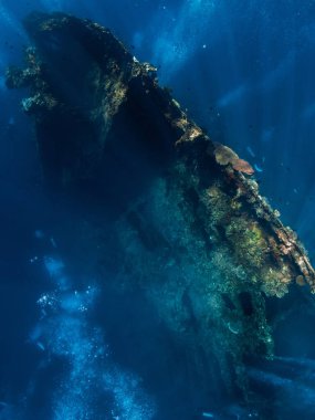 Tulamben, Bali 'deki USAT Liberty Wreck' te dalış. Derin denizde serbest dalış