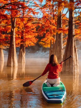 Traveller woman on stand up paddle board on river with autumnal trees clipart