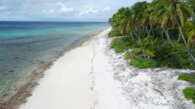 Maldivler adaları, palmiyeleri ve mavi okyanusları olan tropik plajlar. Havadan yukarıdan aşağıya doğru. Yüksek kalite 4k