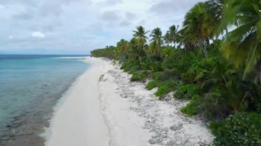 Maldivler adaları, palmiyeleri ve mavi okyanusları olan tropik plajlar. Havadan yukarıdan aşağıya doğru. Yüksek kalite 4k
