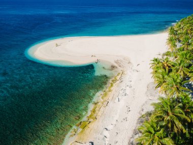 Maldivler adası ve palmiye ağaçlı tropik plajlar. Tropik yaz afişi. Hava görünümü