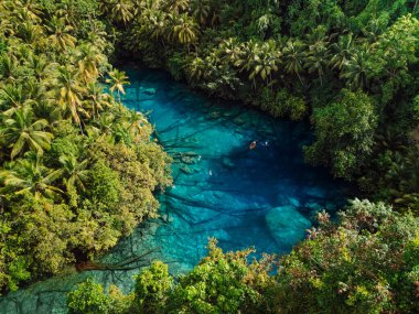 Tropical transparent lake with crystal blue fresh water in Sulawesi, Indonesia. Aerial view clipart