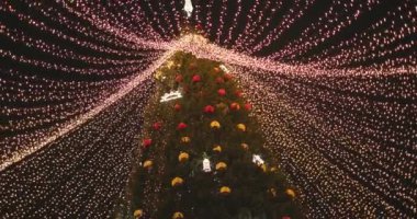 Tatil süslenmiş yeşil Noel ağacı oyuncaklar, renkli toplar, elektrikli çelenkler, ışıl ışıl parlayan ve yanıp sönen. Yeni Yıl ve Xmas Kutlama konsepti, şenlikli atmosfer. Şehrin Gece Sokağında