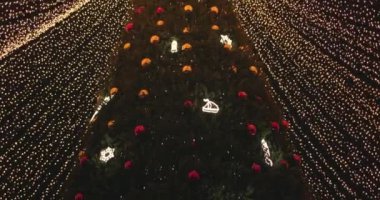 Tatil süslenmiş yeşil Noel ağacı oyuncaklar, renkli toplar, elektrikli çelenkler, ışıl ışıl parlayan ve yanıp sönen. Yeni Yıl ve Xmas Kutlama konsepti, şenlikli atmosfer. Şehrin Gece Sokağında