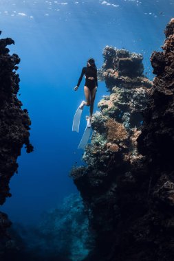 Dişi serbest dalgıç, Bali 'deki Menjangan adası yakınlarındaki su altı kanyonunda yüzüyor..