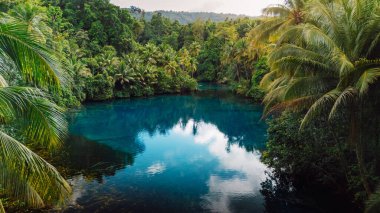 Sulawesi, Endonezya 'daki orman ormanlarında kristal mavi tatlı su ile tropik şeffaf göl. Hava görünümü