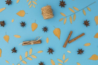 Sonbahar kompozisyonu mavi arka planda sarı sonbahar yapraklarından yapılmıştır. Düz yatış, üst görünüm.