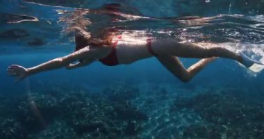 Çekici kadın tropikal mavi denizde yüzer. Bali 'de seksi bir kızla şnorkelle yüzmek. Yüksek kalite 4k görüntü