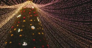 Tatil süslenmiş yeşil Noel ağacı oyuncaklar, renkli toplar, elektrikli çelenkler, ışıl ışıl parlayan ve yanıp sönen. Yeni Yıl ve Xmas Kutlama konsepti, şenlikli atmosfer. Şehrin Gece Sokağında