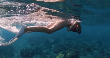 Çekici kadın tropikal mavi denizde yüzer. Bali 'de seksi bir kızla şnorkelle yüzmek. Yüksek kalite 4k görüntü